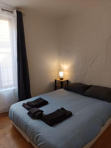Appartement cosy hypercentre Joigny 2 - 3 pers Cosy 5 in 茹瓦尼