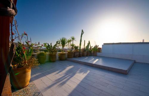 타가주 Sweet Taghazout - Surf Camp Imiouddar 호텔 객실