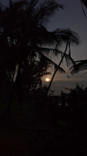 Happy Coco Hostel - image 5