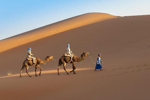 Desert Night Luxury Camp in 梅思佳