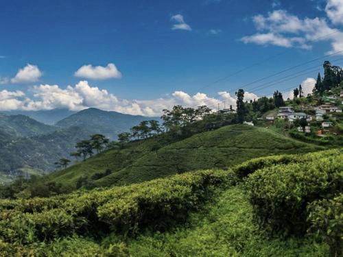 Nearby attraction, Mim Tea Estate Residency A 1920 Heritage Darjeeling Tea Garden Home in Ghoom Pahar Forest