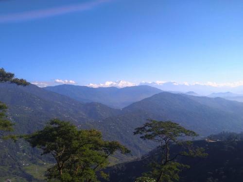 Nearby attraction, Mim Tea Estate Residency A 1920 Heritage Darjeeling Tea Garden Home in Ghoom Pahar Forest