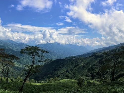 Nearby attraction, Mim Tea Estate Residency A 1920 Heritage Darjeeling Tea Garden Home in Ghoom Pahar Forest