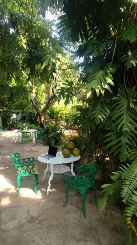 Jungle Palace hostel santaella