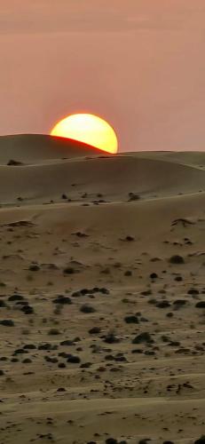 مخيم المشراف in Al Wasil