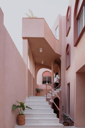 Casa Rosa by Domi Housing in Querétaro, Mexico