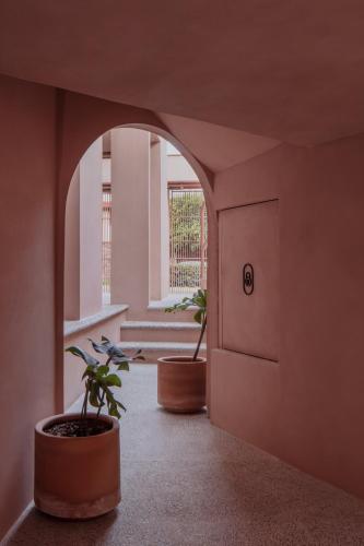 Casa Rosa by Domi Housing in Querétaro, Mexico