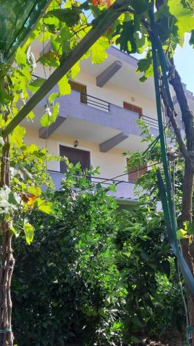 Guest House Emi - image 2