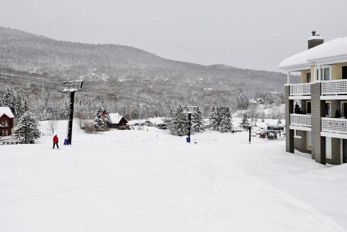 Hameau 28-41 studio in Stoneham (QC)