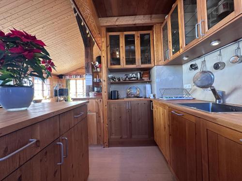 Iekārtas, Chalet le Moulin - calme, nature, cheminée, vue (Chalet le Moulin - calme, nature, cheminee, vue) in Liddes
