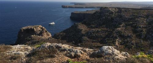 Villa Violeta Villa Violeta