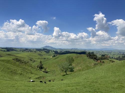 Hideaway on Honikiwi in Otorohanga