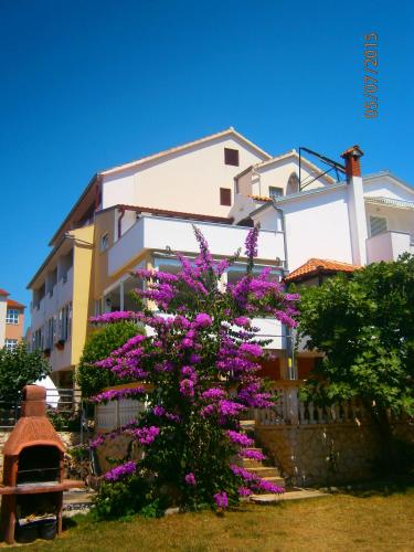  Pansion Mario in Drage