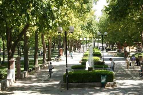 78756299 Hotel Park