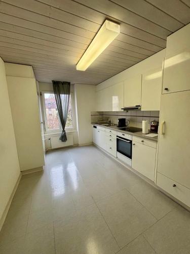 Zurich Style One Bedroom All Yours in Albisrieden - Altstetten