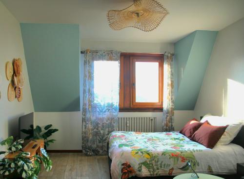 L'Atelier des Tropiques - Location saisonnière - Saverne