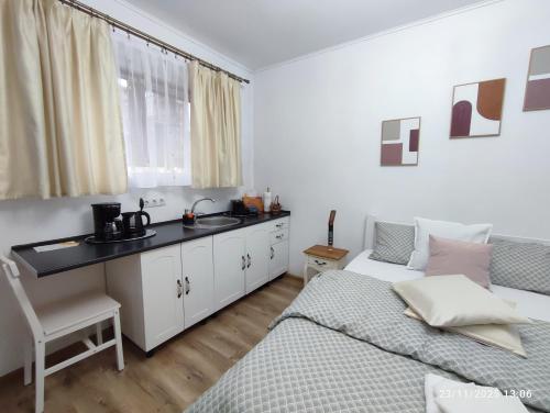 Transilvania Studio in Sibiu City Center