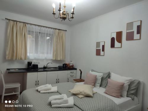 Transilvania Studio in Sibiu City Center