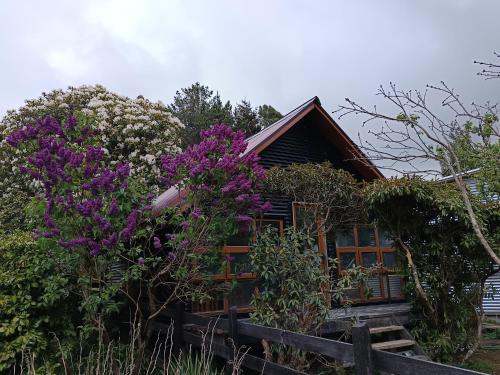 Cabaña el bosque de la bruja