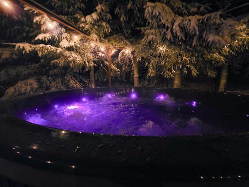 Dom nad Potokiem Sowa in Rzeczka