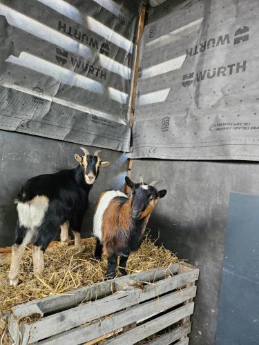 돈느망 상 마메 appartement Plume de repos 4성급 싱글룸 전망