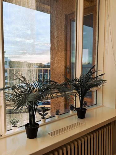 Baron's Hostel in Reykjavík