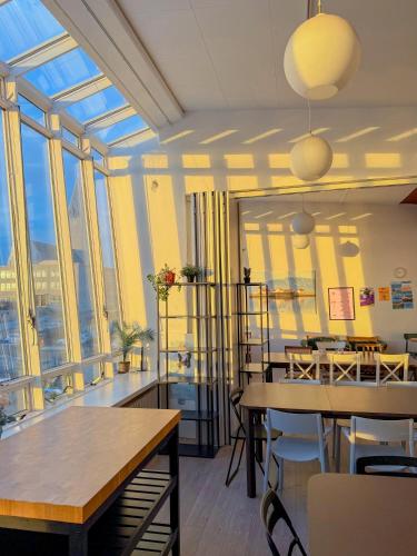 Baron's Hostel in Reykjavík