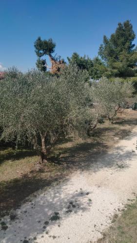 La Casa del Sole in Belvedere Ostrense