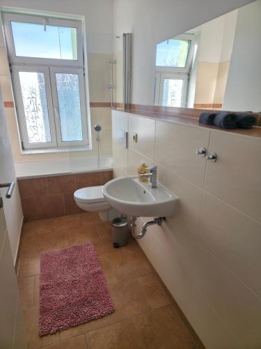 Badeværelse, Ruhiges Apartment Leipziger Neuseenland, direkte S-Bahn Anbindung Leipzig sowie Messe in Neukieritzsch