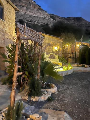 Dana horizon hotel in Dana