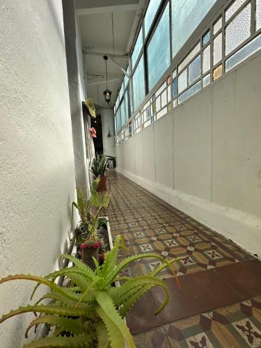 Antique,classy & quiet 3 bedroom and roof terrace apt in the heart of San Telmo, Buenos Aires (photo 9)