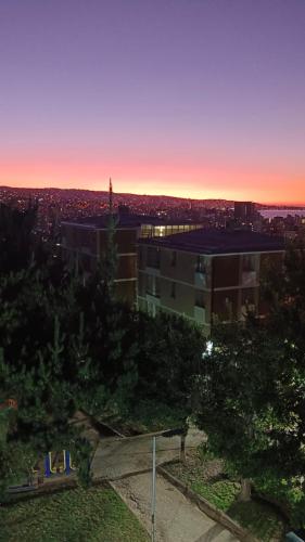 Hermoso y acogedor departamento en Viña del Mar