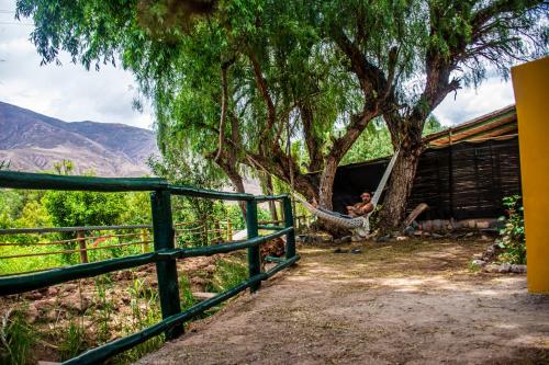 Tale Cabaña de campo (Tale Cabana de campo) in Huacalera