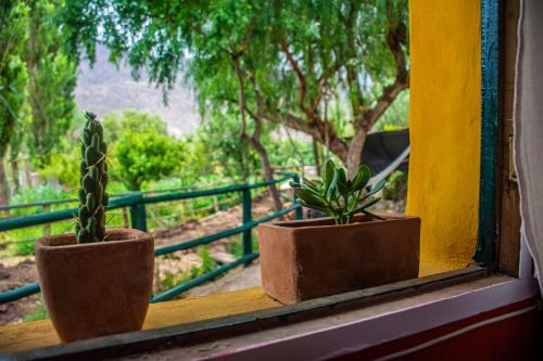 Tale Cabaña de campo (Tale Cabana de campo) in Huacalera