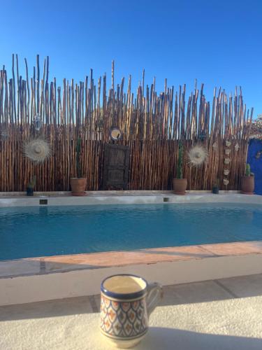 Best Price on Villa Aloe Vera Privee in Ghazoua + Reviews!