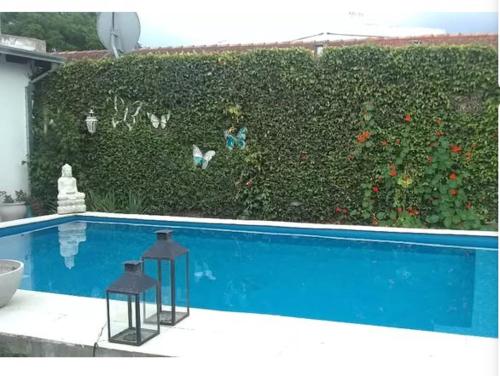 Luna Nueva
