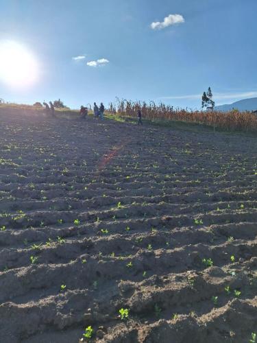 Hermoso y Amplio Apartamento in Quevedo