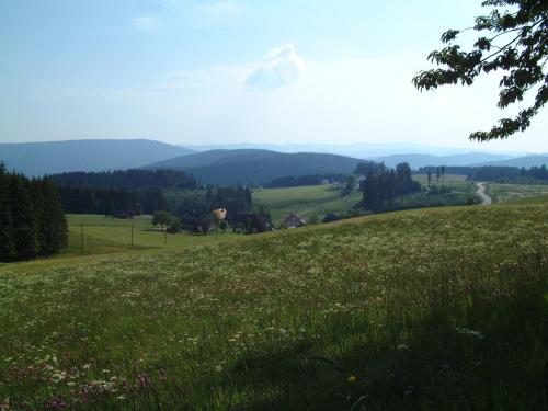 Café-Pension Feldbergblick - image 8