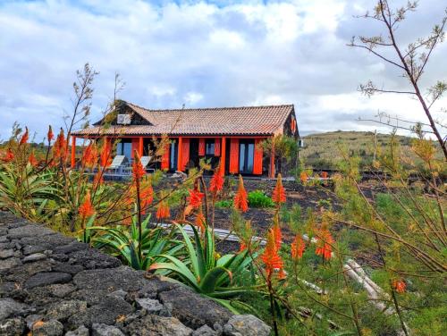 ทัศนียภาพภายนอกโรงแรม, Casa Baleia Laranja Ocean-Front in บันเดรัส