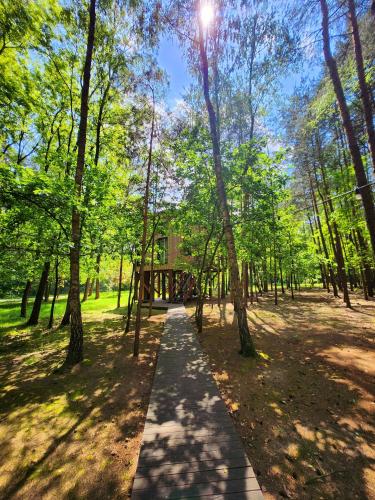 Tree Houses Olszanka in Жирардув