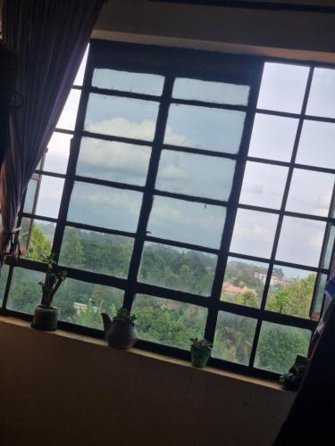 Lily Homes in Sagana