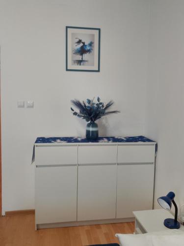 Apartament Niebieski Lwowska 56