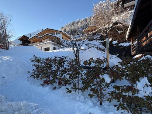  Mazot Agora Suite - Pop-Up Gallery Experience Suite in Salvan