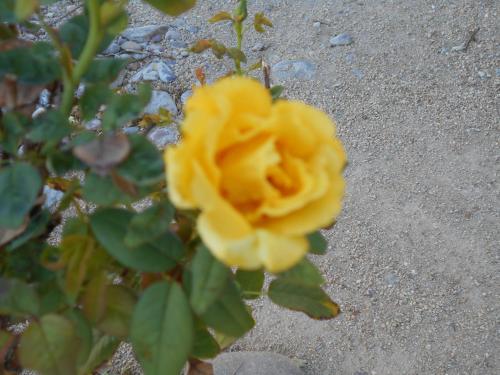 บริการและสิ่งอำนวยความสะดวก, Atomic Inn Beatty Near Death Valley in บีทตี้