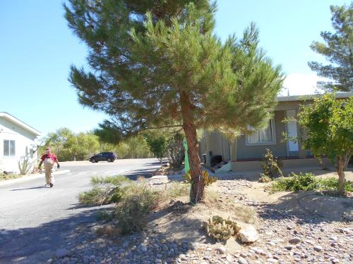 Atomic Inn Beatty Near Death Valley