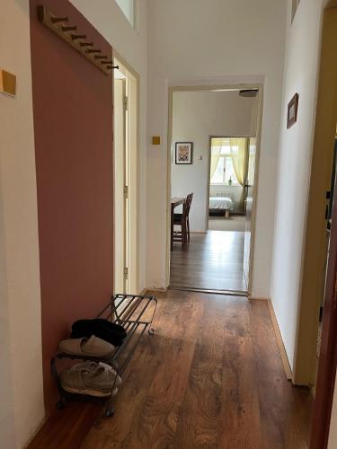 บริการและสิ่งอำนวยความสะดวก, Apartmán Ekonomy (Apartman Ekonomy) in สเนซเน