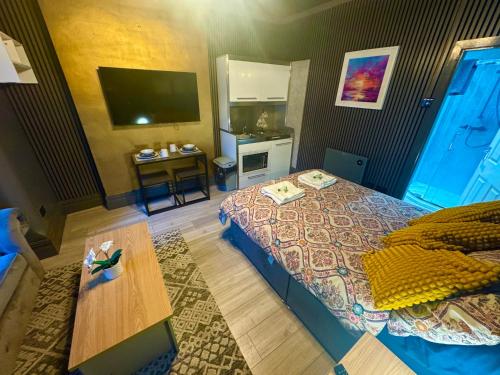 Reads Avenue - Luxury Ground Floor Studio - Next Door To H&a Social Club - Blackpool