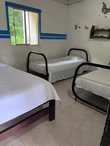 3 twin beds