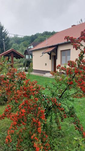 Udvendig, Faluvégi Vendégház (Faluvegi Vendeghaz) in Cserépváralja