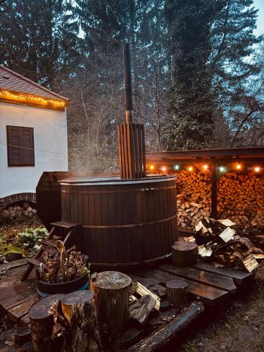 สระว่ายน้ำ, Székelykapu vendégház (Szekelykapu vendeghaz) in มาทรัสเซนทิเมอร์